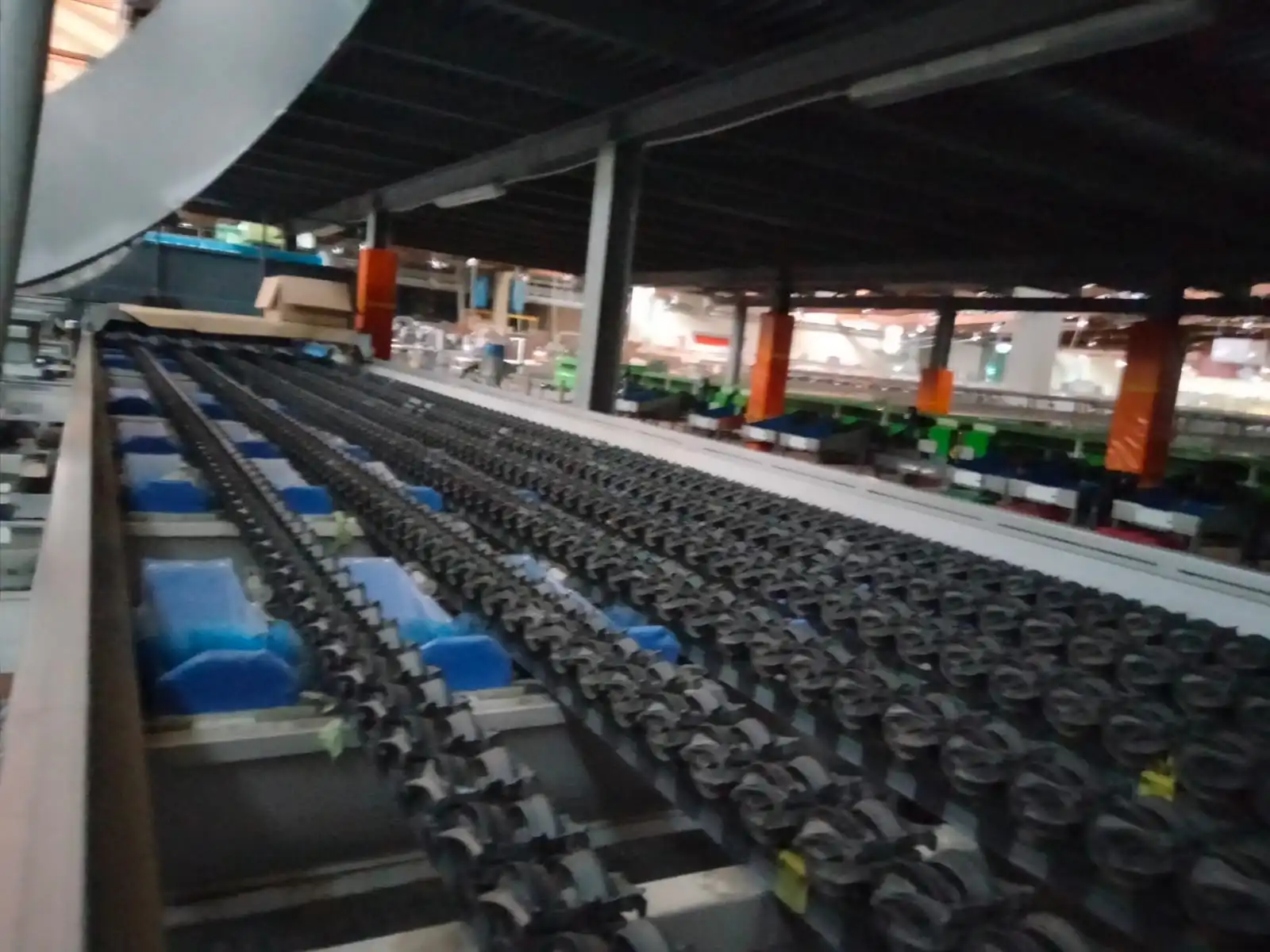 AGRO FRUITS ARGENTINA COMPAC 6 LINES SPECTRIM (1)