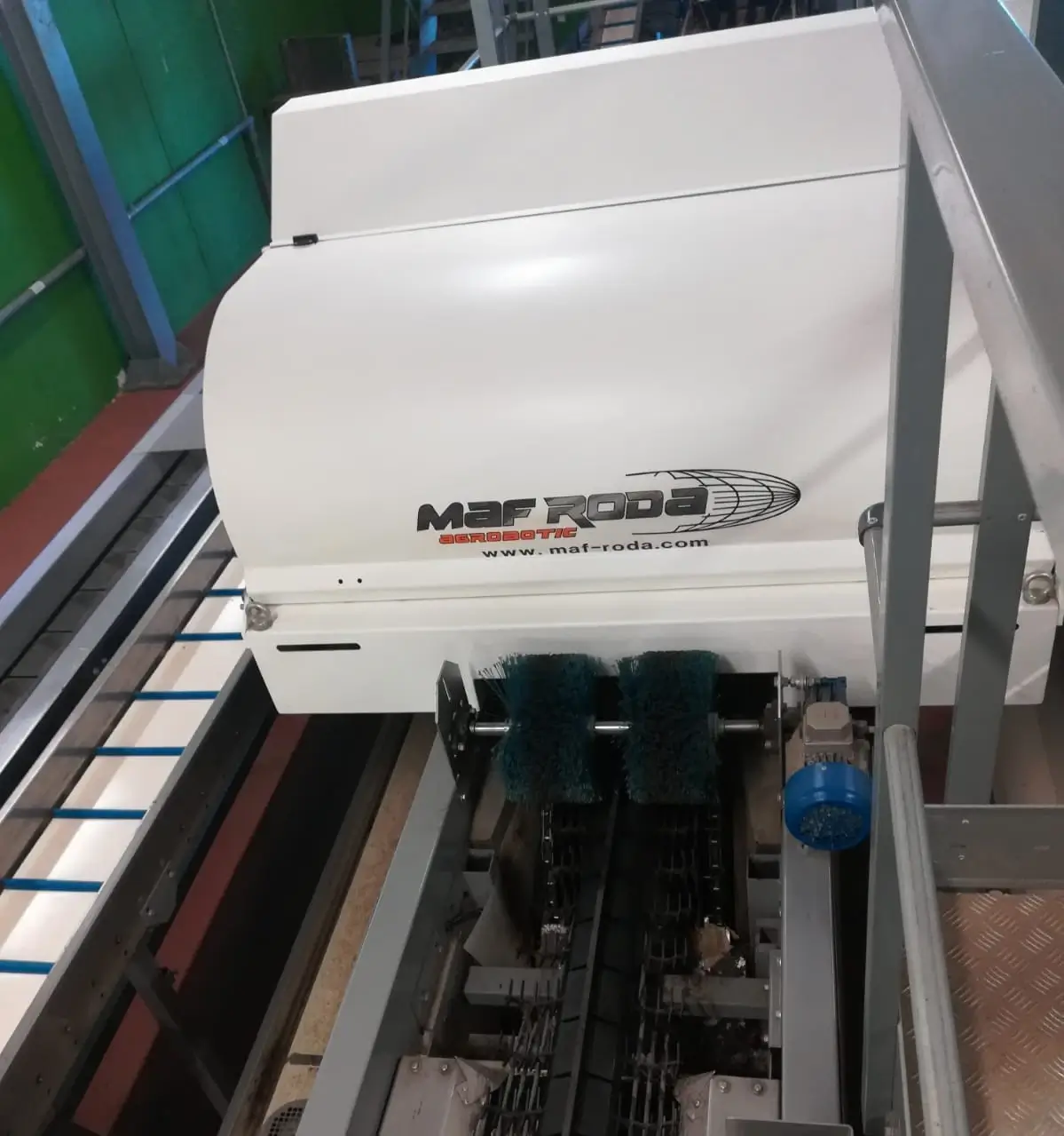 CEKOK GROUP MAF RODA 2 LINES APPLE GRADING LINE (1)