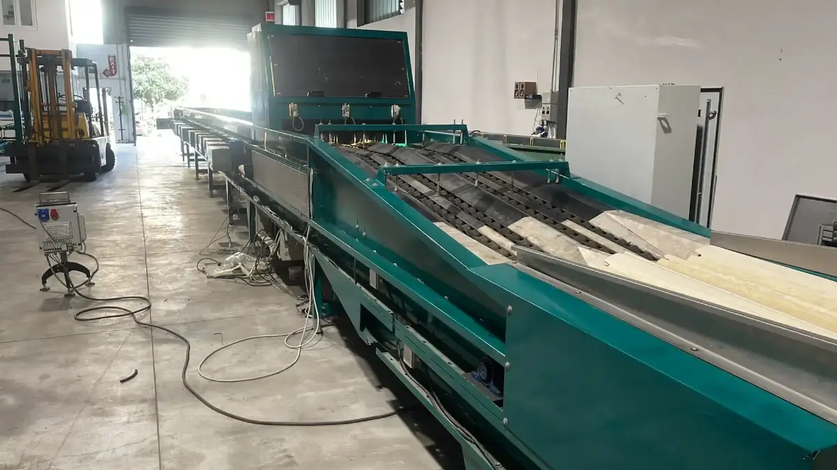 ALRAYANA-EGYPT-IMPORT-AND-EXPORT-EGYPT-4-LINES-MAF-RODA-HIGHWAY-CITRUS-1 (1) (1)