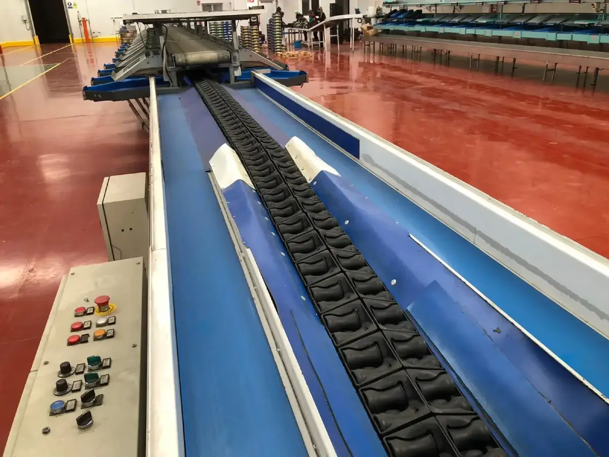 AVO-GROUP-TANZANIA-2-LINES-SERMAC-AVOCADO-1 (1) (1)