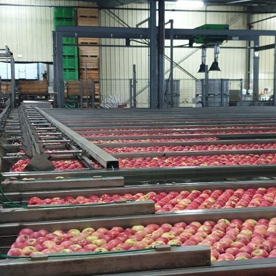 20220707_151853_resized