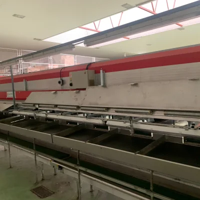 AWETA 2 LINES APPLE -1 (1)