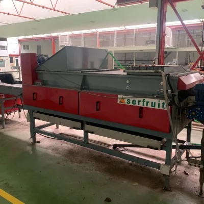 AWETA 2 LINES APPLE (1)