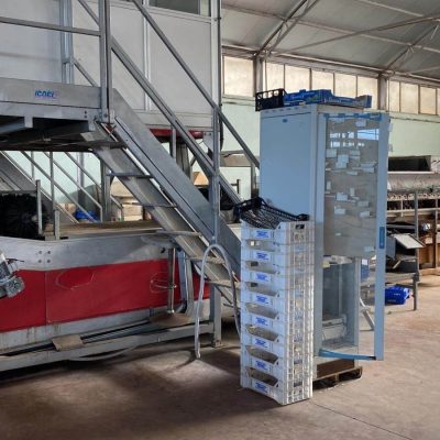 AWETA 4 LINES KIWI GRADING LINE Image2