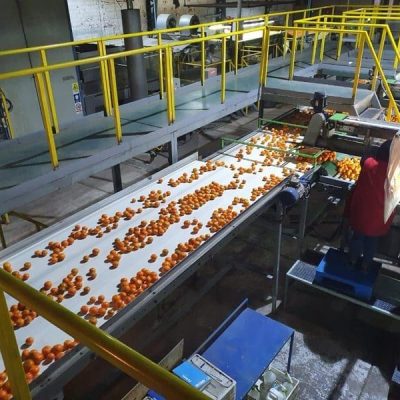 AWETA ROLLERSTAR 6 LINES Image 2