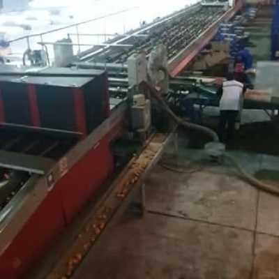 AWETA ROLLERSTAR 6 LINES Image 5