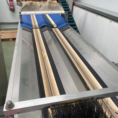 AWETA TWO LINES CALINDA GRADING LINE FOR KIWI Image3