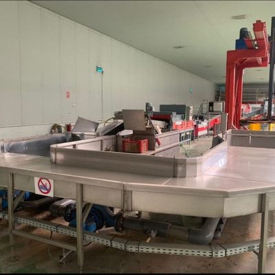 AWETA TWO LINES CALISTAR APPLE LINE Image2