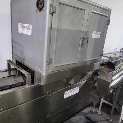 CALIBRAFRUTA 1 LINE KIWI SORTING LINE Image 4