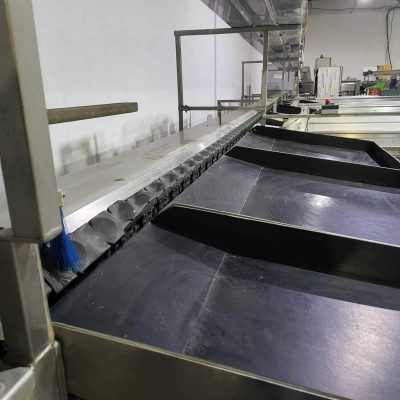 CALIBRAFRUTA 1 LINE KIWI SORTING LINE Image 5