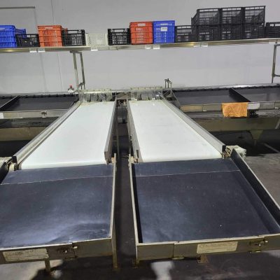 CALIBRAFRUTA 1 LINE KIWI SORTING LINE Image 6