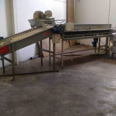 CAUSTIER 2 LINES AVOCADO GRADING LINE Image2