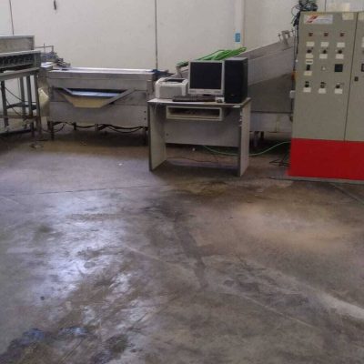 CAUSTIER 2 LINES AVOCADO GRADING LINE Image3