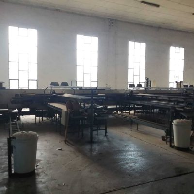 CAUSTIER 2 LINES AVOCADO GRADING LINE Image6