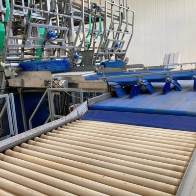 COMPAC 4 LINES GRADING LINE Image3