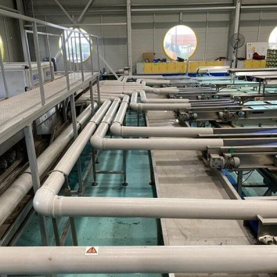 GP GRADERS 10 LINES CHERRY GRADING LINE Image1