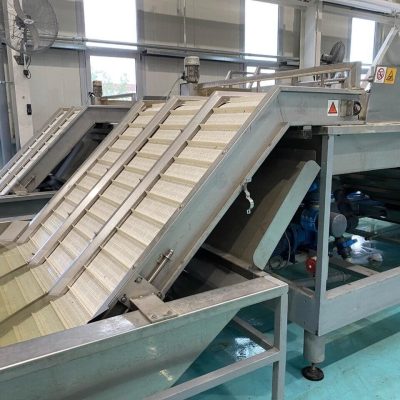 GP GRADERS 10 LINES CHERRY GRADING LINE Image2