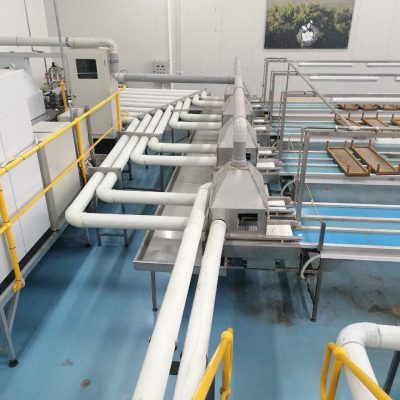 GP GRADERS 10 LINES CHERRY GRADING LINE Image4