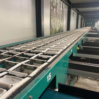 GREEFA 4 LINES APPLE GRADING LINE MSE Image2