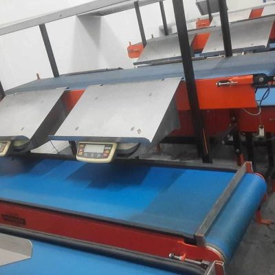 GREEFA 4 LINES APPLE LINE Image4