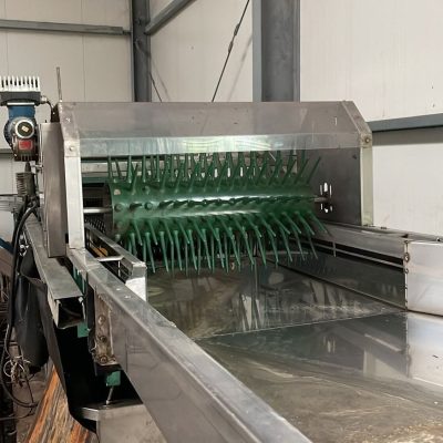 GREEFA 4 LINES MSE APPLE GRADING LINE Image4