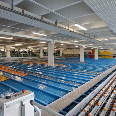 GREEFA 8 LINES APPLE PRE-SORTING LINE MODEL GEOSORTImage2