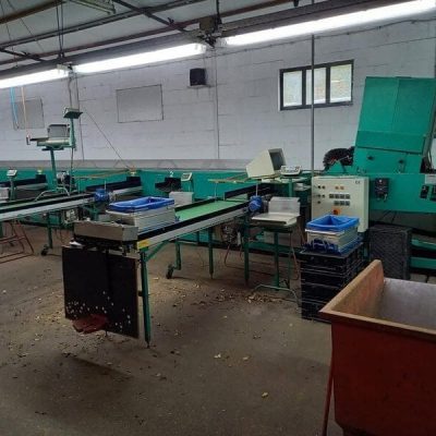 GREEFA MSE TWO LINES APPLE GRADING LINE Image 2