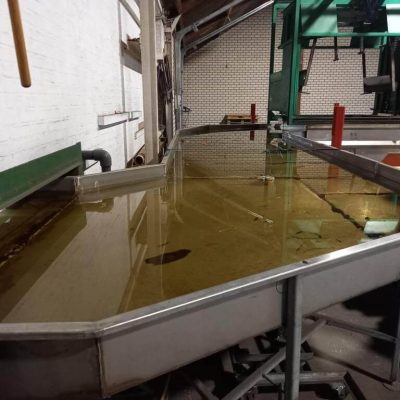 GREEFA MSE TWO LINES APPLE GRADING LINE Image 6