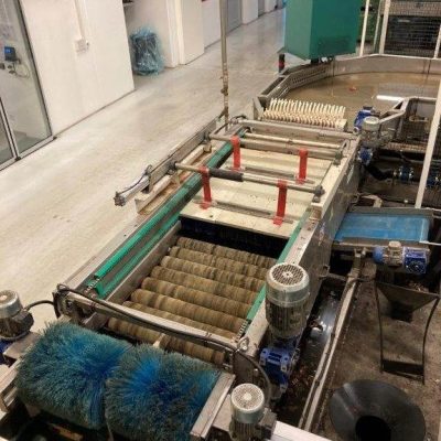 GREEFA TWO LINES APPLE PRE SORTING LINE Image 5