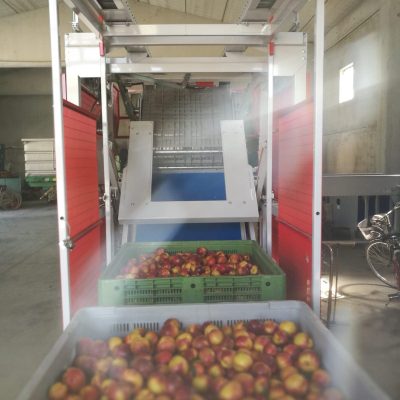 Imagen de WhatsApp 2024-05-28 a las 20.37.07_c4dc78d6