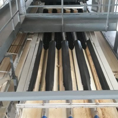 Immagine WhatsApp 2023-06-16 ore 09.55.55-1