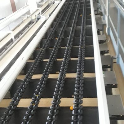 Immagine WhatsApp 2023-06-16 ore 09.55.55-3