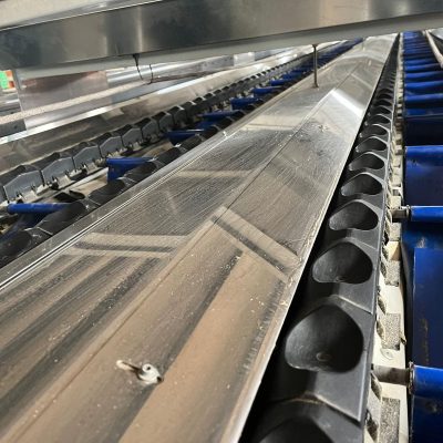 Immagine WhatsApp 2023-07-13 ore 16.15.42