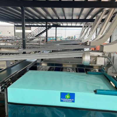 Immagine WhatsApp 2023-07-13 ore 16.15.44-1