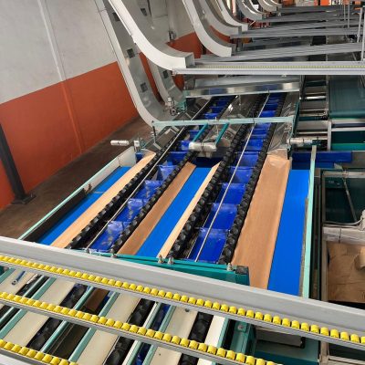 Immagine WhatsApp 2023-07-13 ore 16.15.45-2