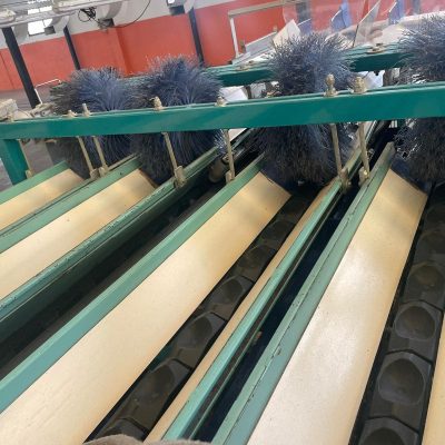 Immagine WhatsApp 2023-07-13 ore 16.15.46-3