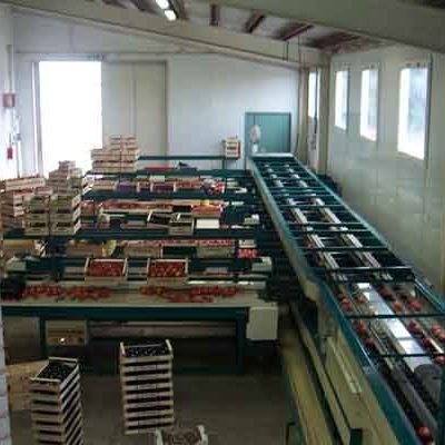 Immagine WhatsApp 2023-07-19 ore 09.08.36-1