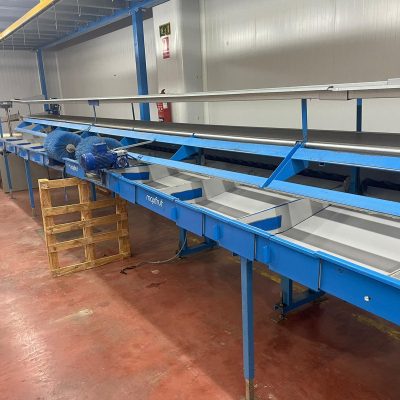 Immagine WhatsApp 2023-07-22 ore 17.22.17-13