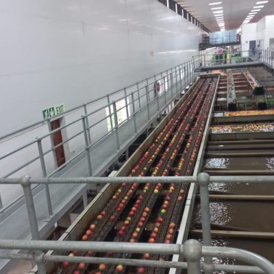 Immagine WhatsApp 2023-07-22 ore 17.24.00-11