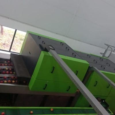 Immagine WhatsApp 2023-07-22 ore 17.24.00-3