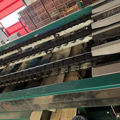 Immagine WhatsApp 2023-07-22 ore 17.24.55-3