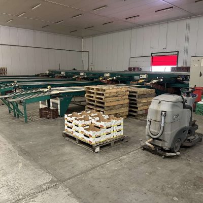 Immagine WhatsApp 2023-07-22 ore 17.24.56-67