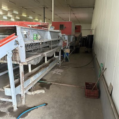 Immagine WhatsApp 2023-07-22 ore 17.24.56-7