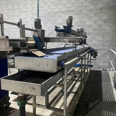 Immagine WhatsApp 2023-08-06 ore 19.13.46-6