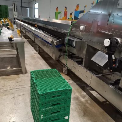 Immagine WhatsApp 2023-08-18 ore 12.46.19