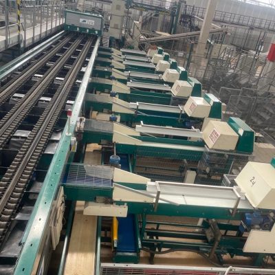 Immagine WhatsApp 2023-09-18 ore 10.30.40-2