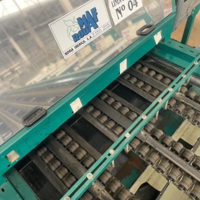 Immagine WhatsApp 2023-09-18 ore -3