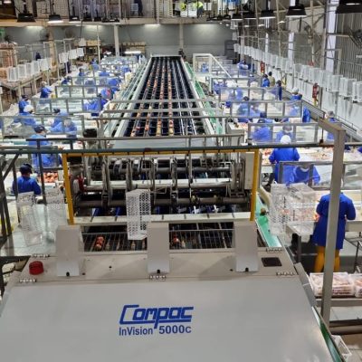 Immagine WhatsApp 2023-09-23 ore 18.17.05-11