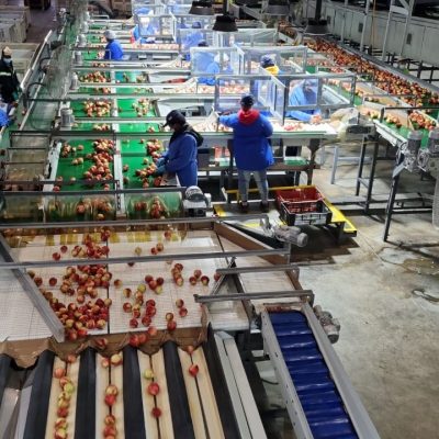 Immagine WhatsApp 2023-09-23 ore 18.17.05