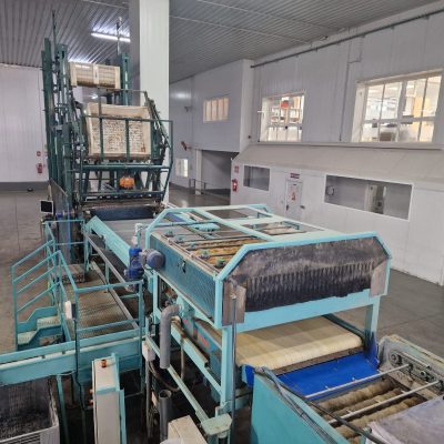 Immagine WhatsApp 2023-09-25 ore 21.11.16